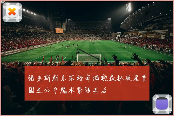 福克斯新东家赔率揭晓森林狼居首国王公牛魔术紧随其后